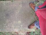 image of grave number 290534